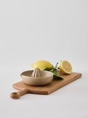 Palermo citrus press