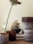 Frost ljuslykta medium - brown